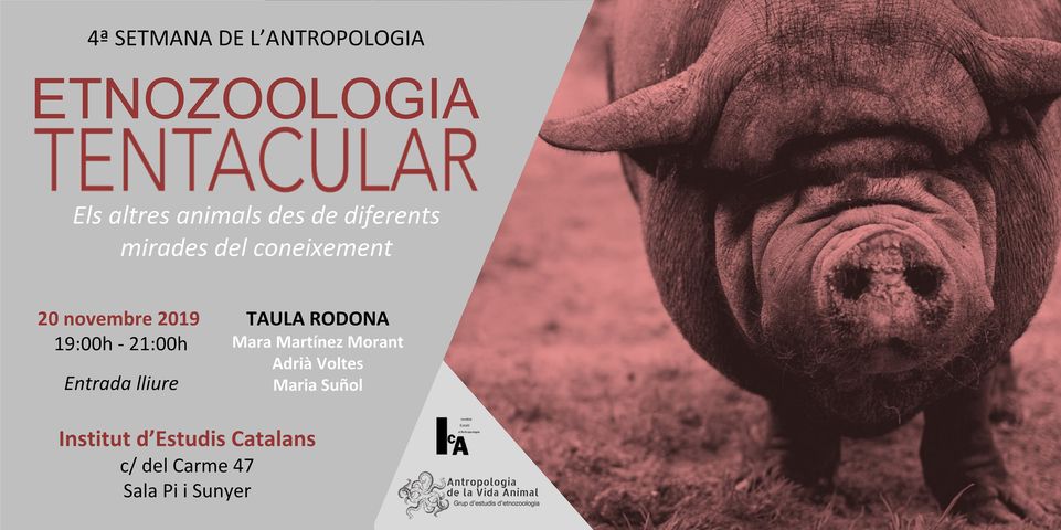 Etnozoologia Tentacular a la 4ª Setmana de l’Antropologia